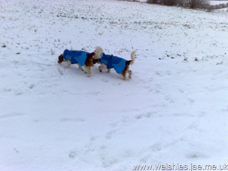 2010-01-06 10.jpg